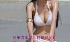 卵巢囊泡是如何形成的？