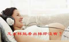 怎么样能看出排卵没有？