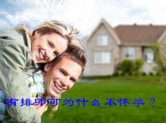 有排卵可为什么不怀孕？