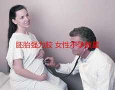 胚胎强力胶，代妈不孕救星