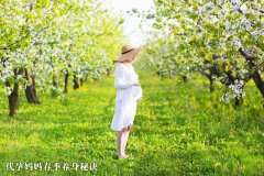 广州代妈春季养身秘诀