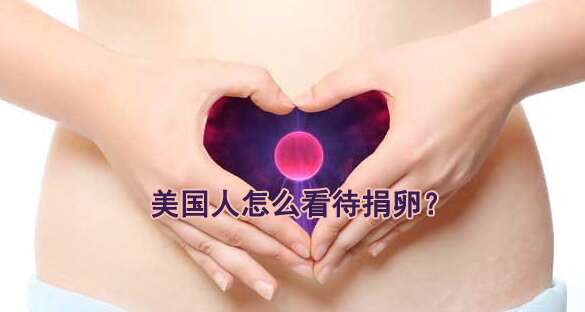 美国人怎么看待广州捐卵?