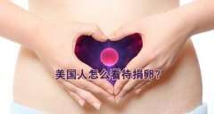 美国人怎么看待广州捐卵？