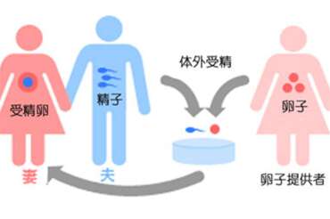 优质的胚胎不能着床，可能包含以下几种原因