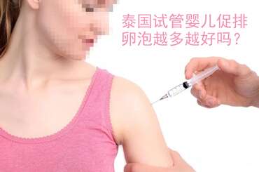 泰国试管婴儿促排，卵泡越多越好吗？