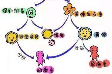 做广州第三代试管婴儿还会有胎儿畸形的情况吗？