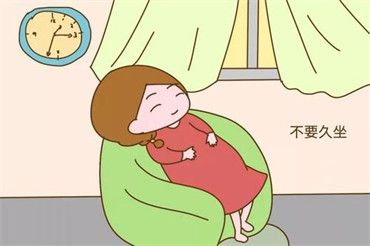 卵子是什么样的