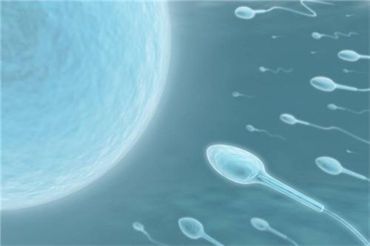 这6类精子问题，也会连累“好孕”