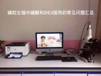 辅助生殖中辅酶和DHEA服用的常见问题汇总