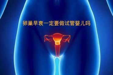 卵巢早衰一定要做试管婴儿吗？