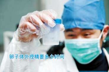 卵子体外授精要多少时间