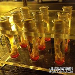 广州助孕技术从流水线作业到个体化解决