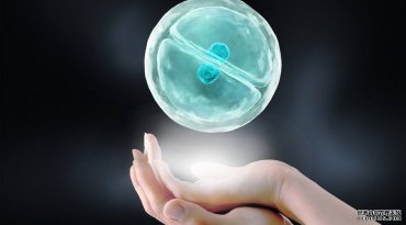 为什么在广州助孕前每个人取卵数量不一样