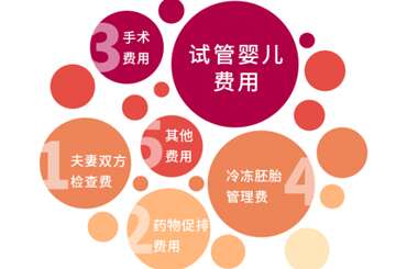 广州助孕告诉您如何让试管婴儿低价高效的秘诀