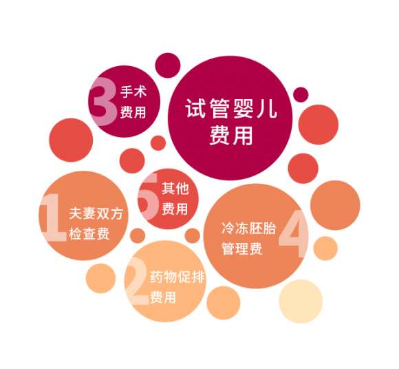 广州助孕告诉您如何让试管婴儿低价高效的秘诀