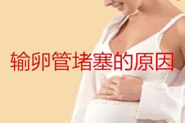 输卵管堵塞的原因