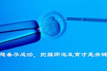 想备孕成功，把握卵泡发育才是关键