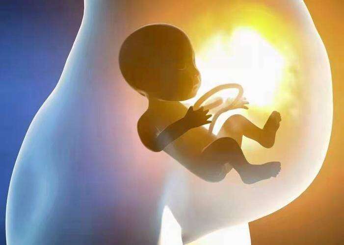 广州代妈在怀孕头三个月内要注意哪些事项?