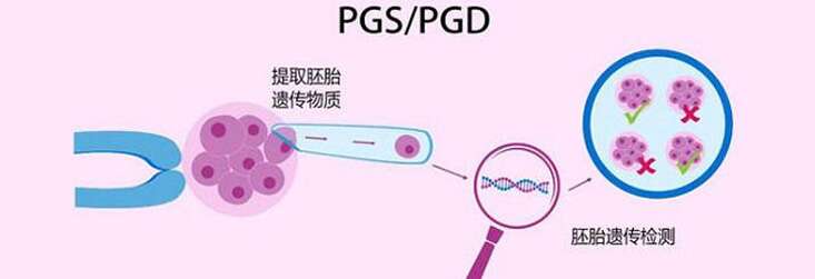 输卵管有问题怎么备孕