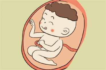 常见的卵巢疾病有哪些